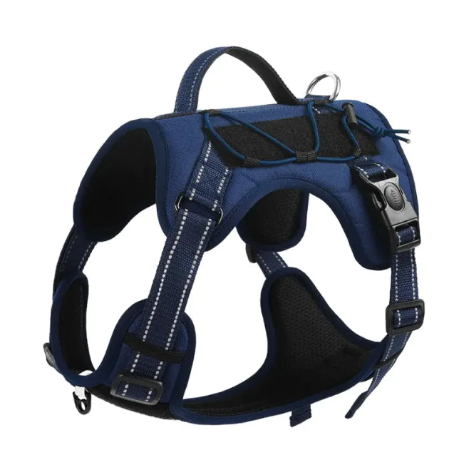 Harness